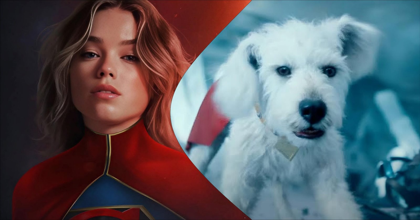 Krypto in Supergirl