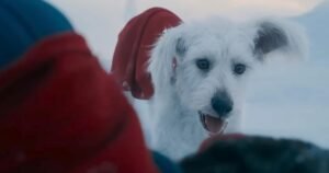 Superman Cast Reveals Violent Krypto Scene Was Deleted!