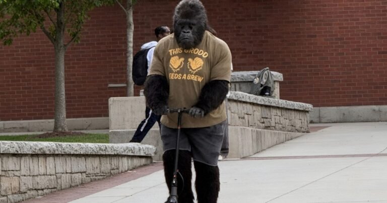People v. Gorilla Grodd Flash Villains